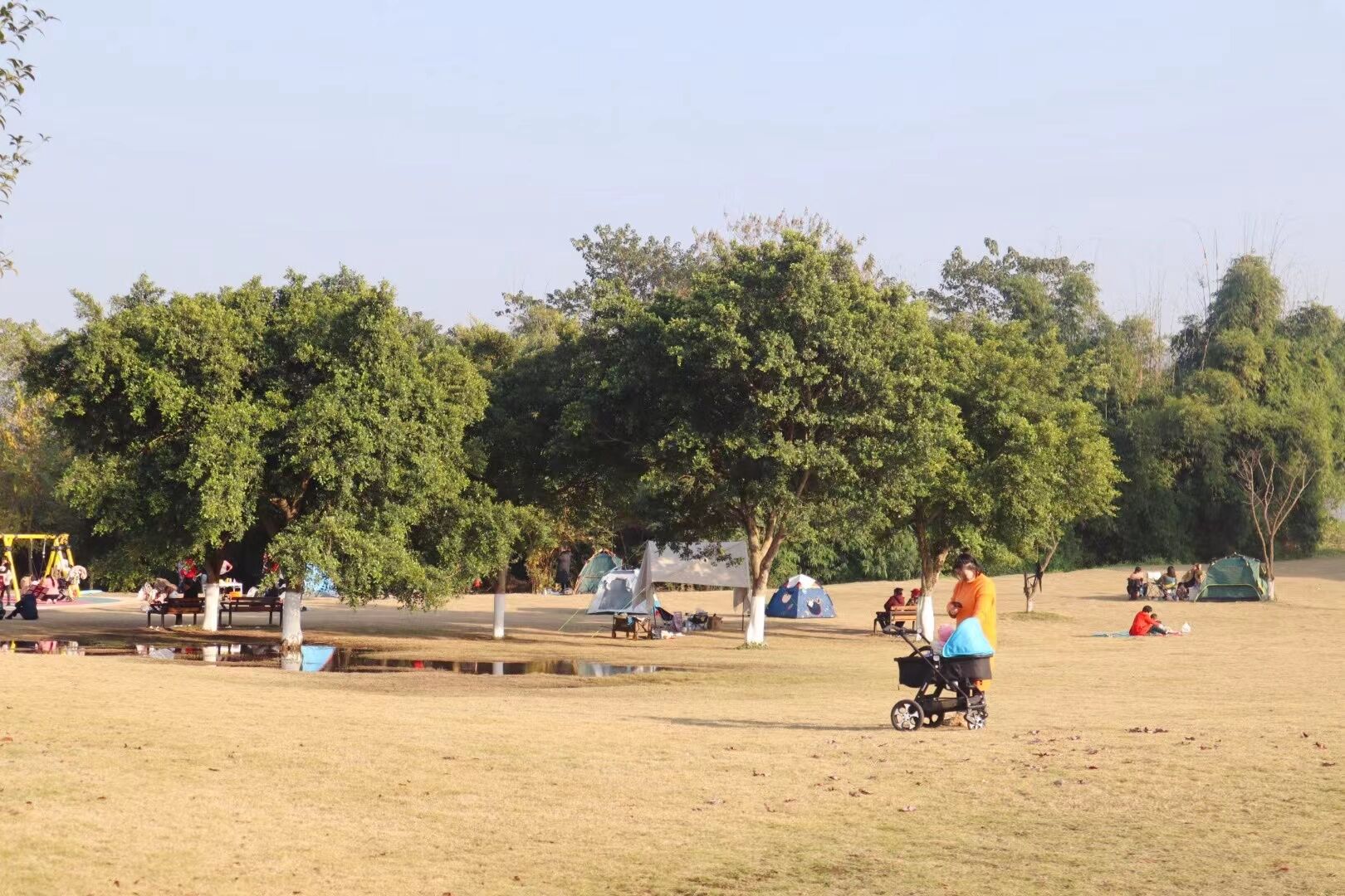 罗非鱼|人少小众！就在重庆主城！摄影、遛娃、垂钓……赶快来！