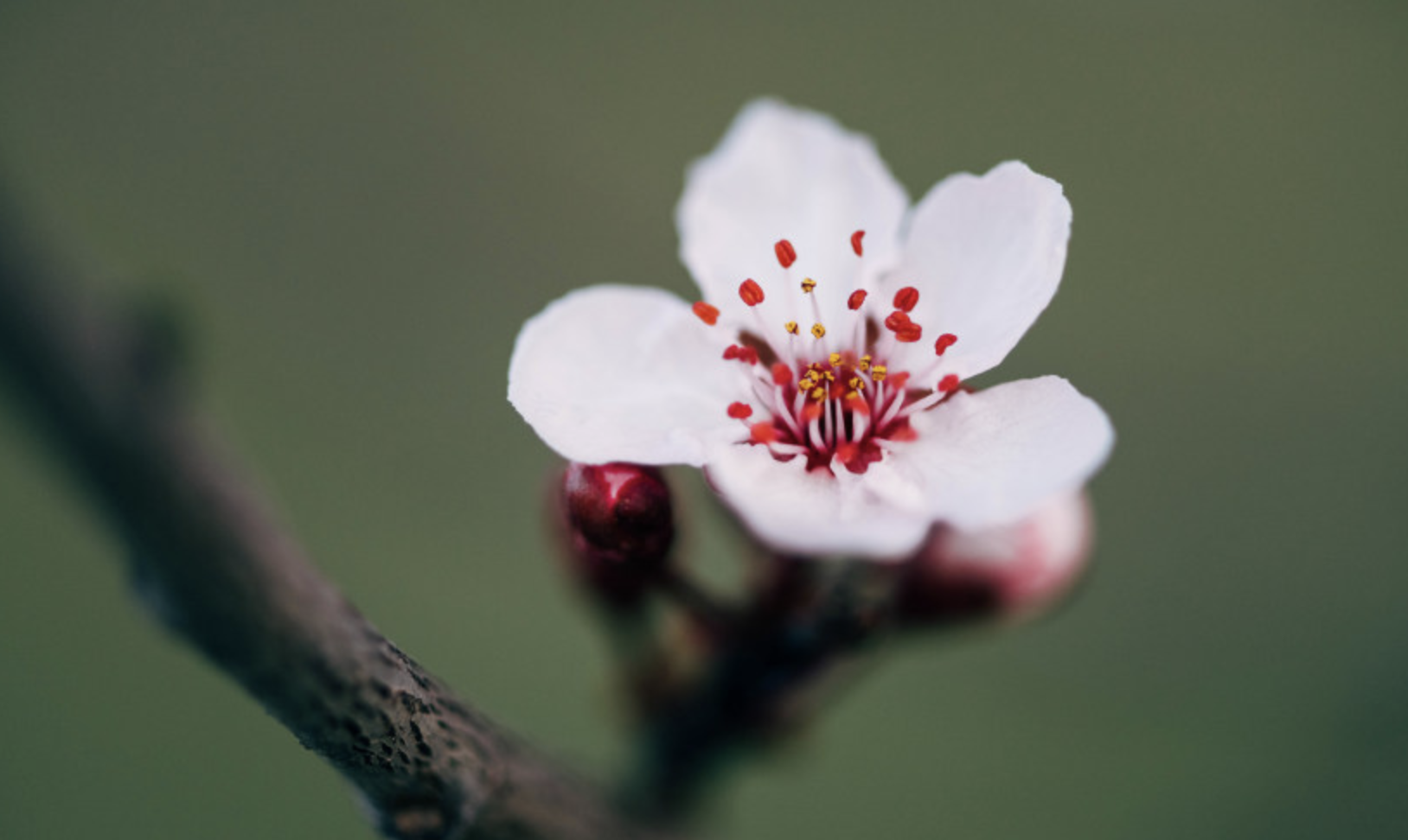生肖夜梦|7月底，运势鼎盛，事业红火，大财不少，小财不跑，3生肖好事不断，生活富足