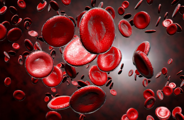 科普作者孙医生|日常3种蔬菜被列入“升脂”名单，医生提醒：血脂高的人，尽量远离