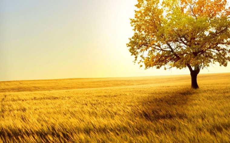 豆浆|引起耳鸣的原因有很多,以下几点是常见的病因