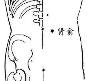 穴位|详解人体各穴位位置及功效!