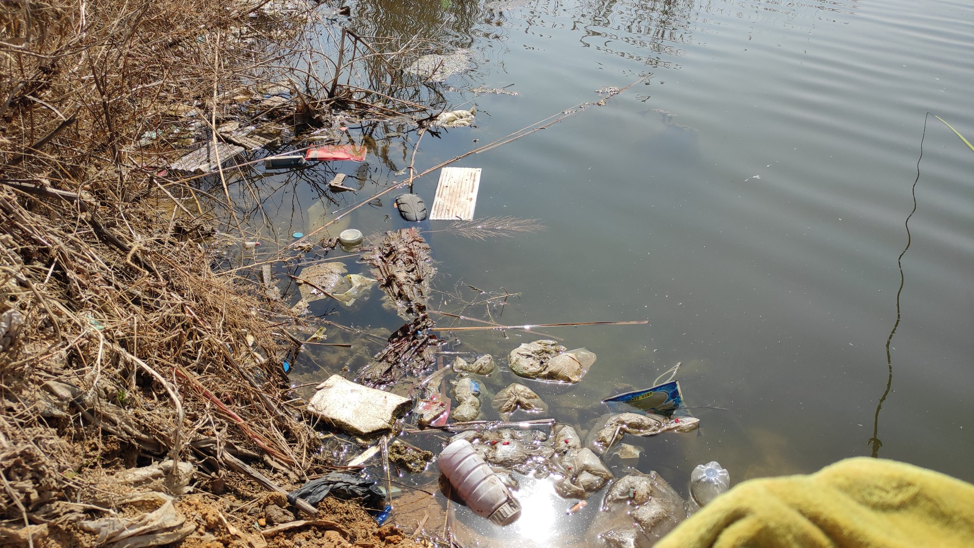 |灭绝性钓鱼危害真的不大吗？上百钓鱼人，五天钓光一沙坑。