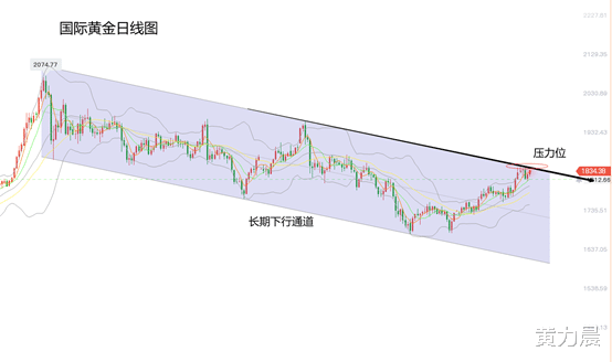 美国联邦储备系统 黄力晨：美联储维持宽松立场 黄金止跌金价上涨