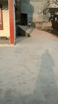 |“亲姐弟这种行为正常吗？”感觉哪里不太对劲啊！哇哈哈哈哈哈～