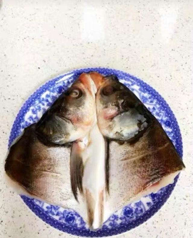 宓孤林|查干湖冬捕现场，鱼群堆满地看不到头，网友：鱼的洗浴中心