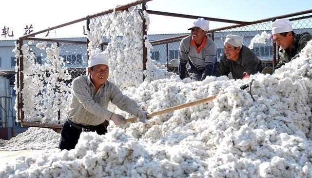 占領新疆70%采棉機市場，收入2400億，今這傢美企市場壟斷被打破-圖6