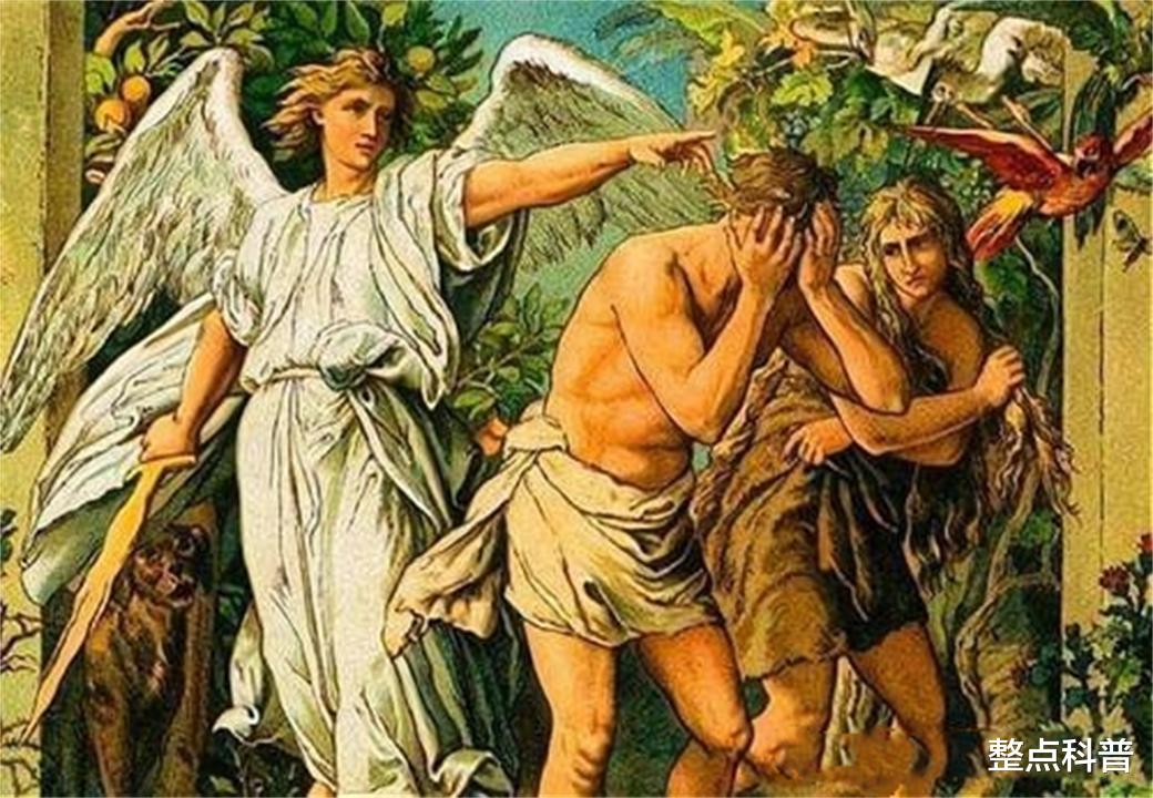 太空 人都是女性生的，在人类出现前，世界上第一个女性是从哪里来的？