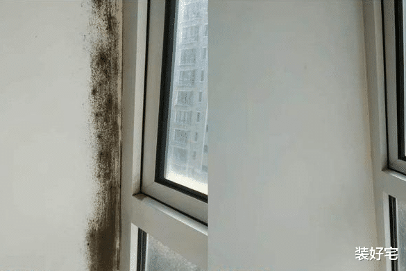 装好宅|建议主妇：卫生间添置这3样便宜货，打理方便，生活更舒适
