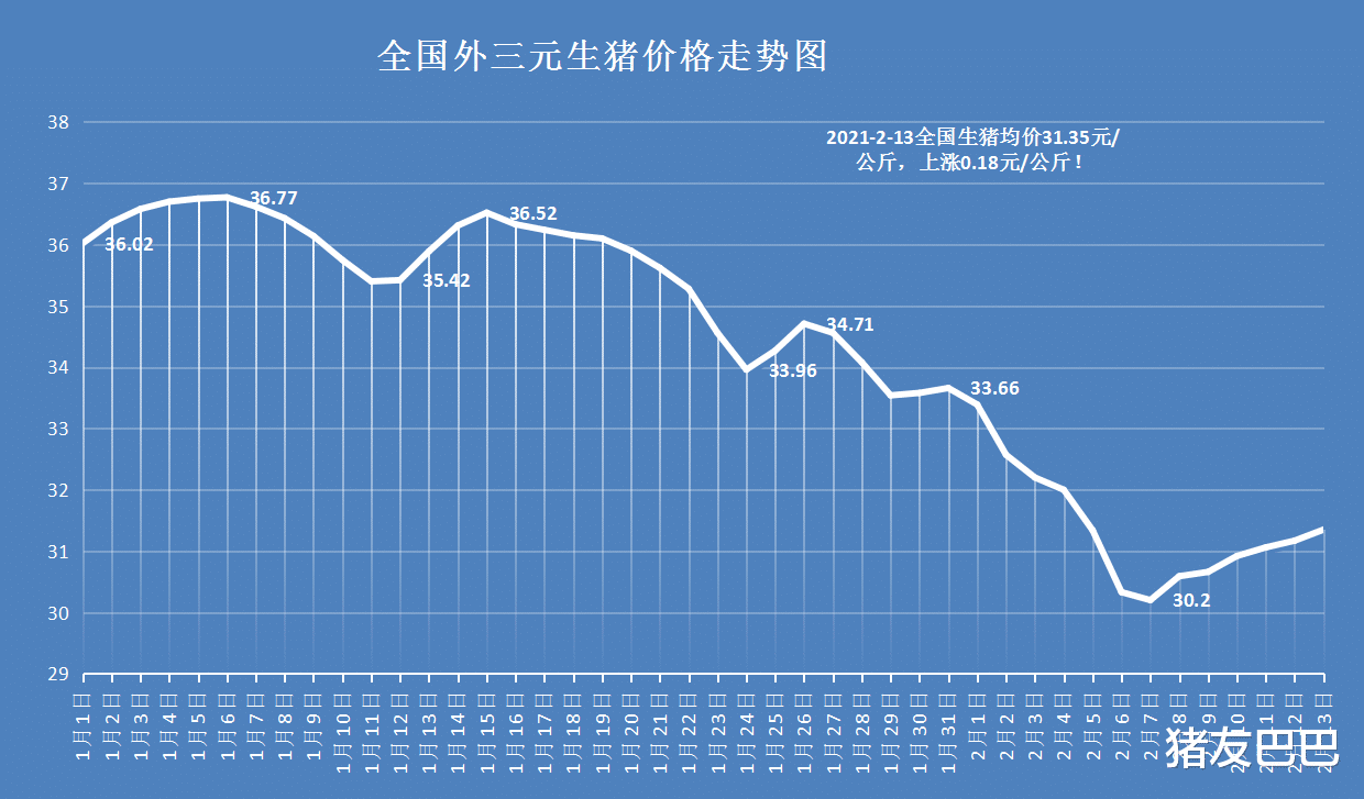 石油 猪价6连涨,肉价横盘走跌,春节后猪价、肉价行情如何?预测来了