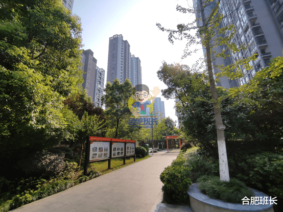 |滨湖二手房天花板，实探46和师范附小双本部的书香门第！