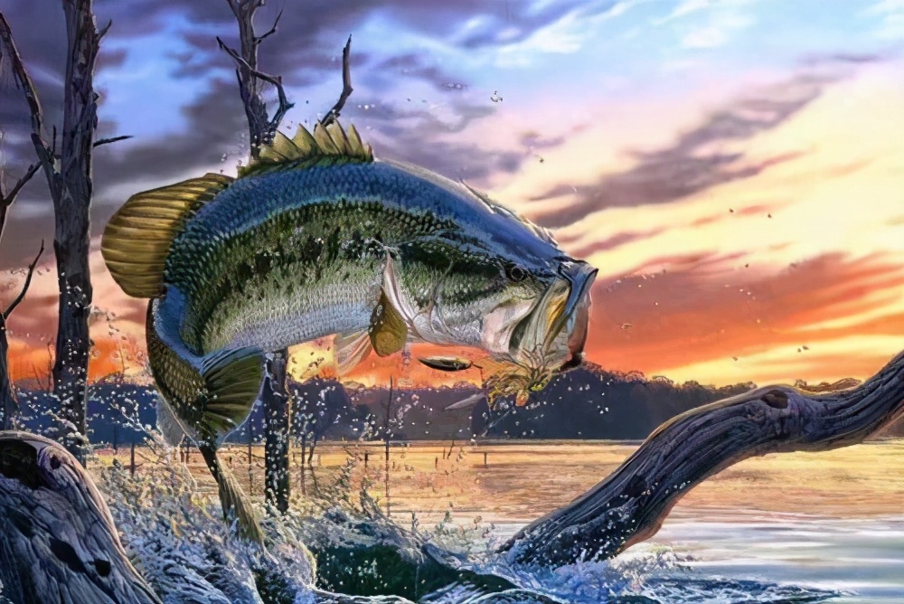 |夏季钓鱼三要诀！钓鱼新手学会了天天爆护，拉到手软——盛世三渔