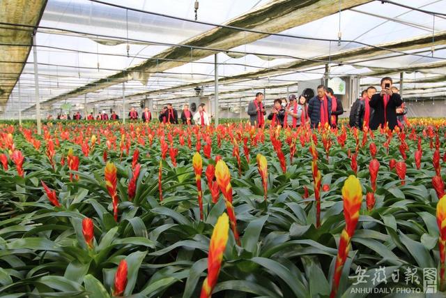 创业|职业农民一线学习提升创新创业技能