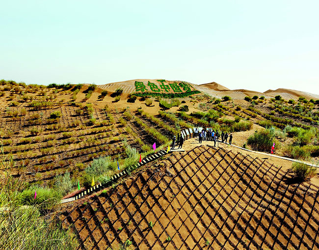 科学家 世环科学家：未来沙漠将被彻底消灭，中国研发的新技术功不可没