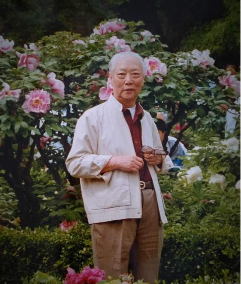 宋佳|宋佳：21岁嫁42岁京剧大师，26岁离开重病丈夫，55岁嫁比利时老公