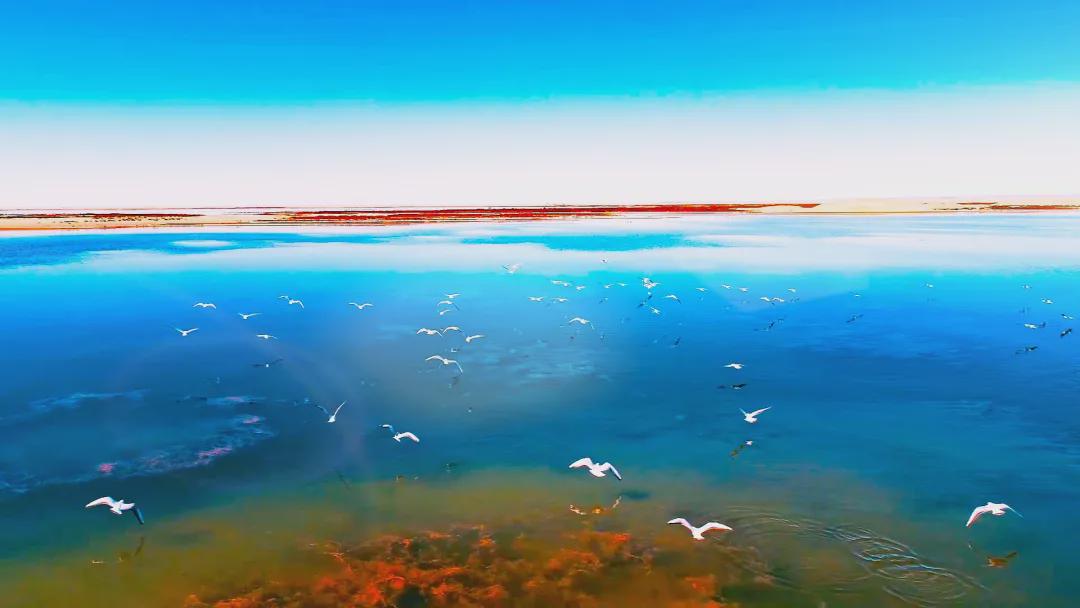 额济纳|?“飞阅”额济纳，换个方式瞰美景