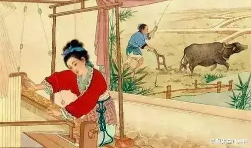 探测器|人类为什么会演化出婚姻和生育制度