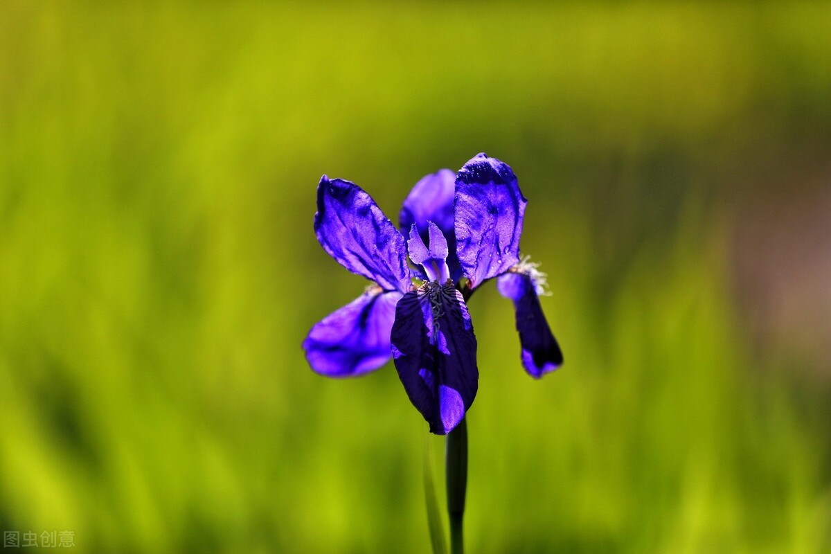 凡人凡举凡思|为生活加点健康和好运吧……