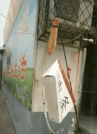 “男子手机爆炸腿部被炸轻伤”,网友:怎么还把丝袜整破了?