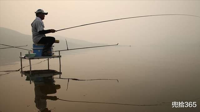 广东省|广东一江边现职业钓鱼人,鱼类齐全渔获多,有人一天能挣四五百元