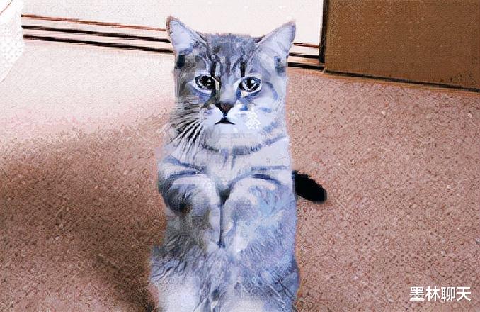 飞机|聊聊Saab37：剑走偏锋、性能管饱，瑞典的多功能战斗机