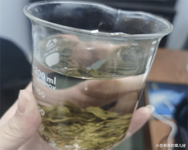 小豆爸爸的育儿经|各学科老师的“茶杯”火了,样式五花八门,最后一位老师最搞笑