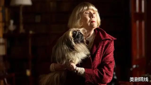 兽医|一集拿下9.6分,这部年度最佳英剧,又来了