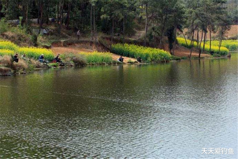 空军|夏季高温，遇上凉爽的天气再出门，刮风下雨天，钓位记得这样选！