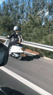 小叶娱记 “一年的高考季又来了,牛顿和鲁迅受到格外礼遇!”神评亮了!