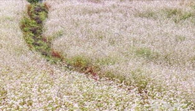 育儿心课堂|陕西一王牌县城,全国石油产能第一,人称“塞上油城”