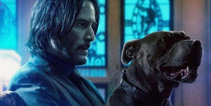 基努·里维斯|《疾速追杀4》增添新技能！基努·里维斯透露，总有新东西要学