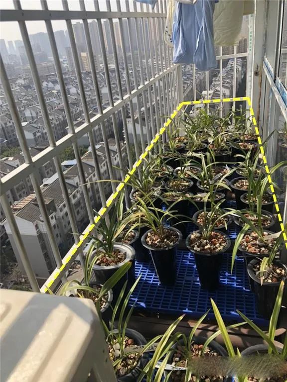 防盗窗|楼上装防盗窗凸出墙面40公分，在上面养花晒衣服，当自家阳台用！