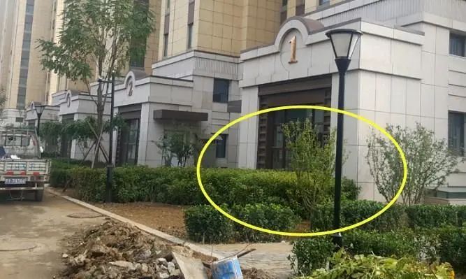 |底楼再便宜也不要买,我家就是个教训,处处都是坑!