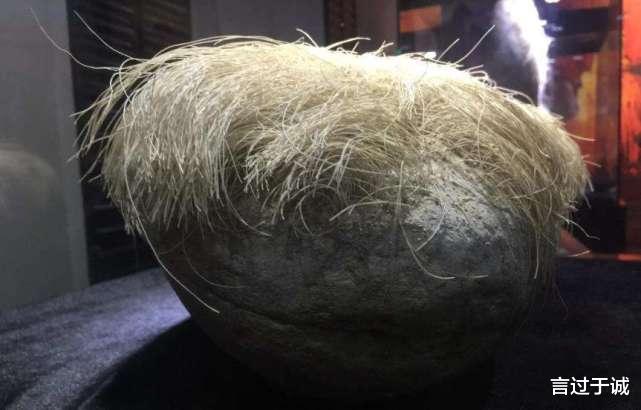1987年,辽宁人一小伙花了18000元买了一块长满毛发的石头,谁知半年后,这块石头的毛发竟然长了2厘米