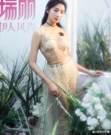 马苏|110斤马苏与90斤关晓彤同框比身材：20斤的差距在哪里？她的眼神绝了