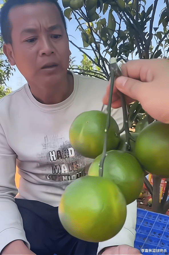 感动!全红婵父亲仍自食其力卖橙子:拒绝商铺豪宅不消费女儿荣誉