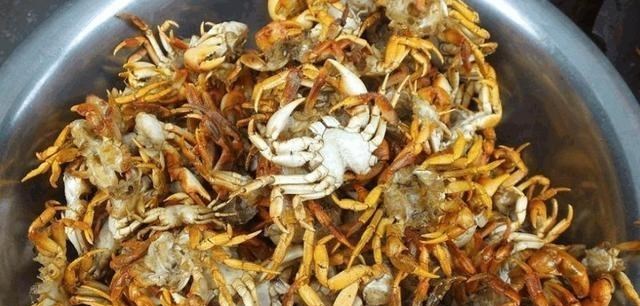 教教你家娃|台州河道螃蟹泛滥，钓鱼人：连续几天钓到好多，这种螃蟹能吃吗？