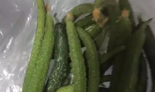 健康知识小讲堂|黄瓜居然有这个功能！早知道每天吃一根了