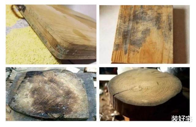 保健品|再节俭也要添置的4样好物，便宜实用，日子越过越舒心