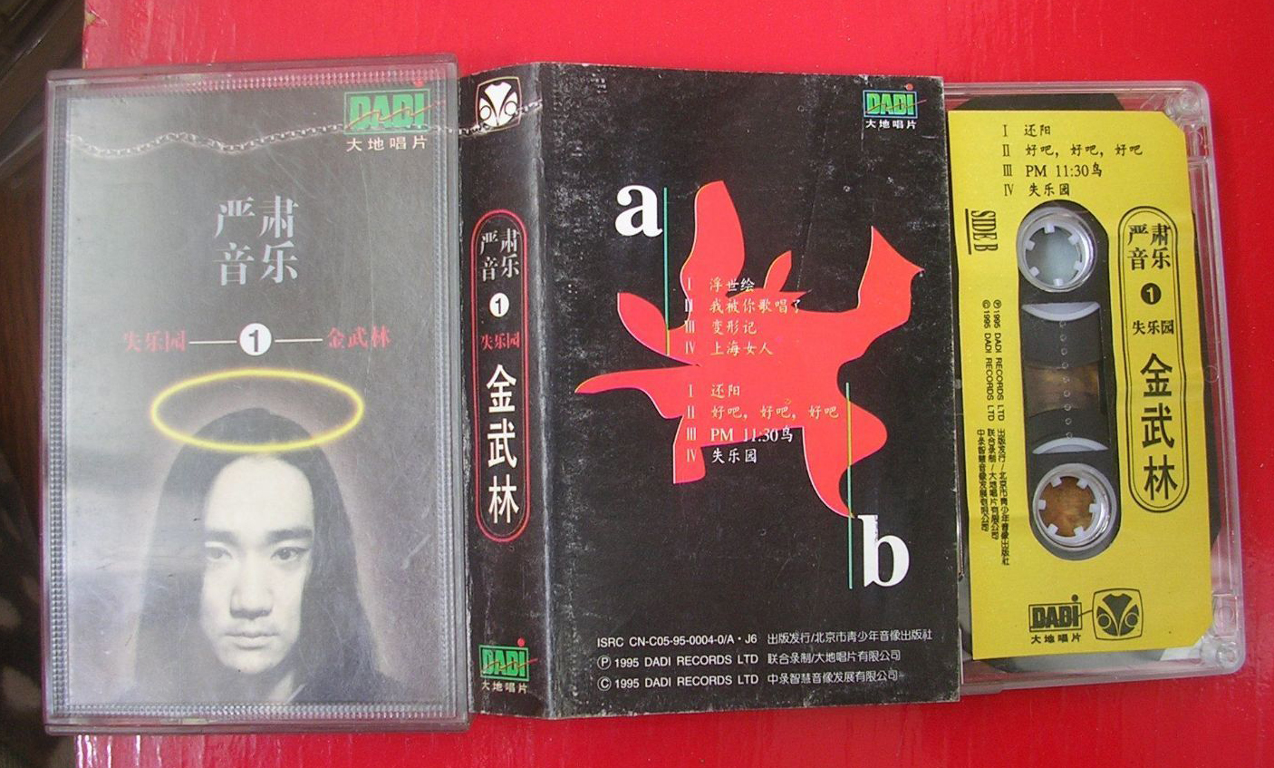 失乐园|那些失落的声音之——金武林