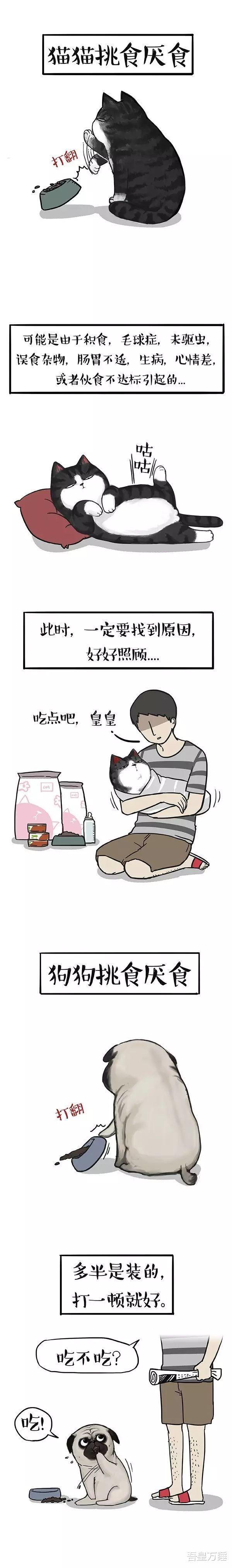 吾皇万睡 我没有在偷吃,只是在帮你试毒,我贴心吗?