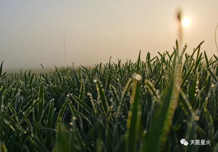 高血压|寒露到！做好这两件事，比吃任何补药都强！