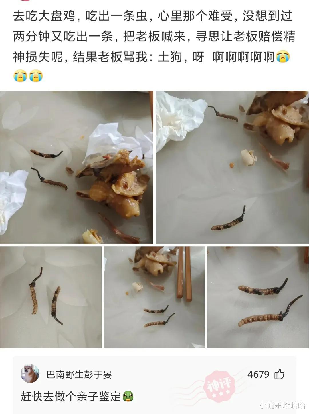 神回复:为什么运动会上,男生都喜欢看女生跑步?神评真相了