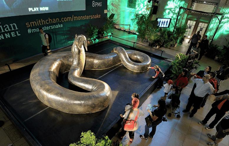 巨蟒 世界上最大的蛇能有多大?