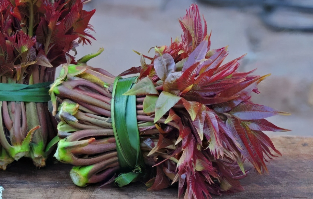 社会热点传播正能量 路人误把核桃树当香椿树,叶子被薅光,主人挂牌提示:炒不成鸡蛋