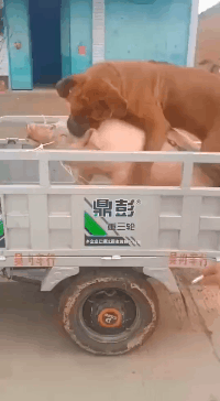 书尽心生|神回复：“你这辈子，悟出的最大的道理是什么？”网友说得有道理