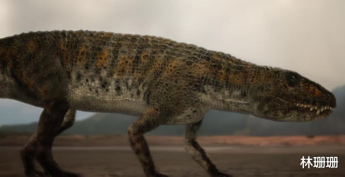 群星|动物广翅鲎：专吃海洋“浮尸”，4亿年前最先登陆地面的动物