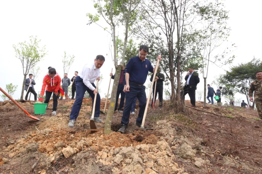 蕉城区融媒体中心 不负春光，播种希望！市、区领导添“绿”正当时