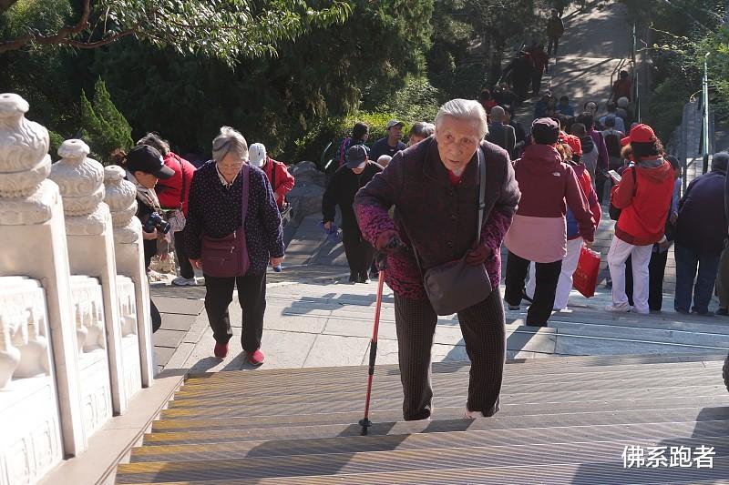 茯苓|退休之后最不该干的事情是什么?