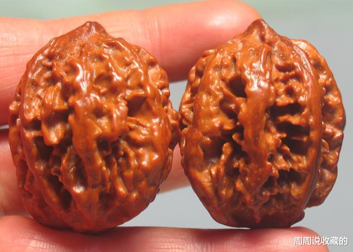 钱币|文玩核桃的尾脐到底该不该封？如何去封？