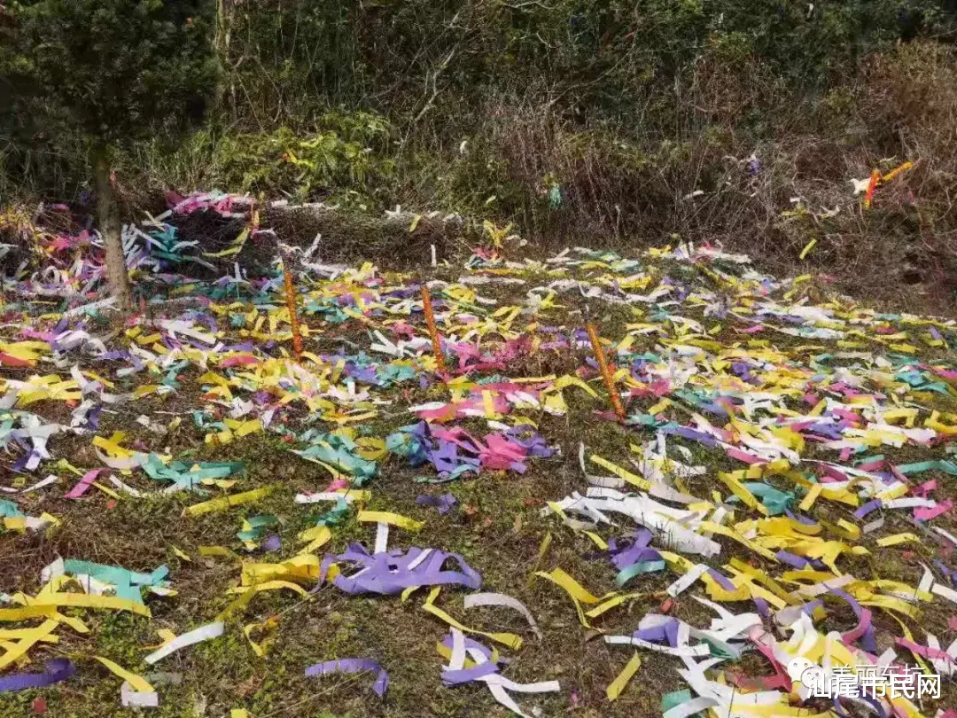 汕尾市民网 曝光！再抓四人...